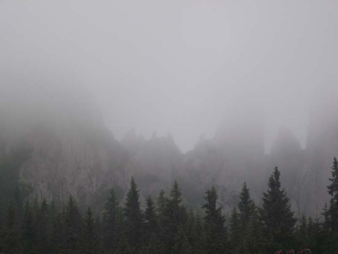 Branza e la munte.jpg